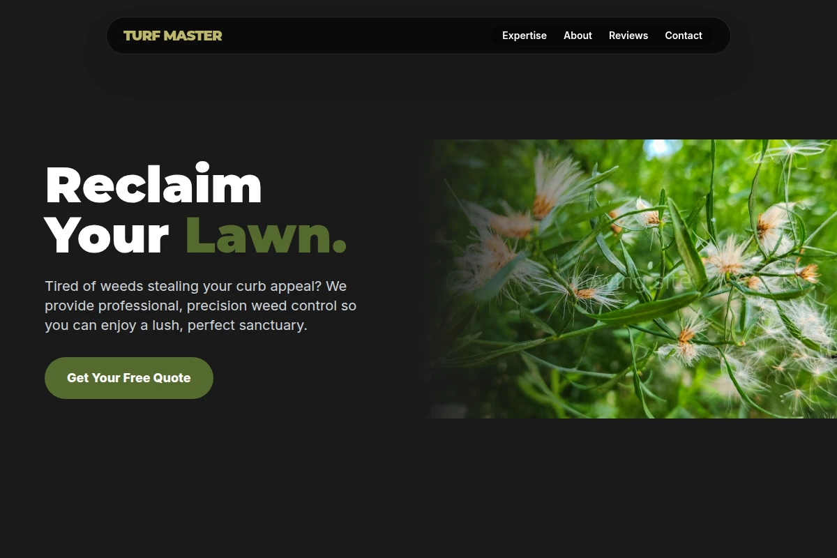 Patch Weed Control